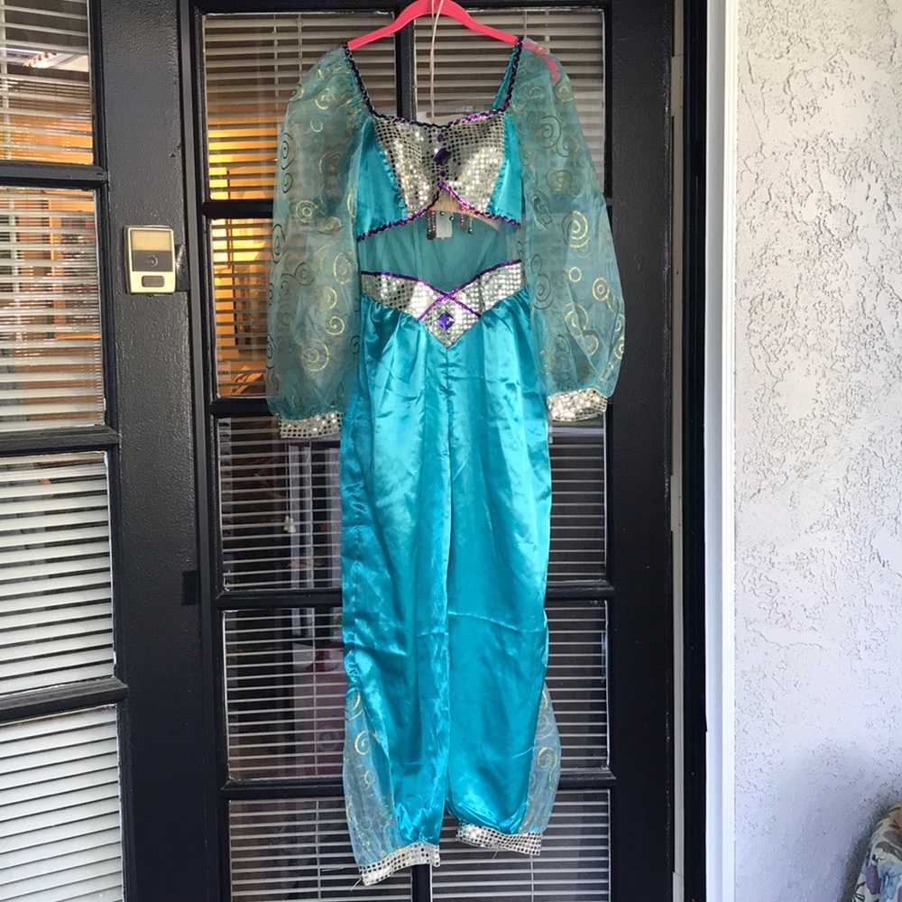 Disneystore Princess Jasmine Adult Costume